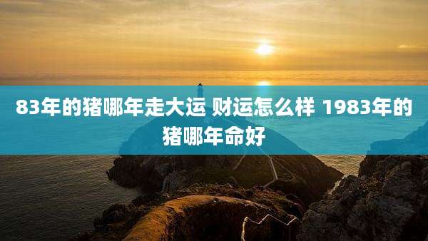 83年的猪哪年走大运 财运怎么样 1983年的猪哪年命好