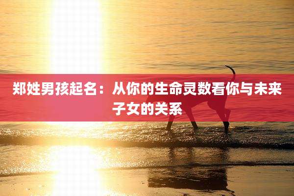 郑姓男孩起名:从你的生命灵数看你与未来子女的关系