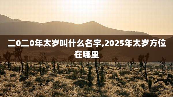 二0二0年太岁叫什么名字,2025年太岁方位在哪里