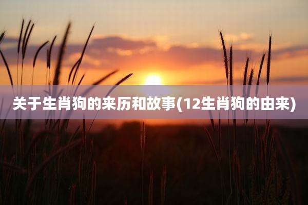 关于生肖狗的来历和故事(12生肖狗的由来)