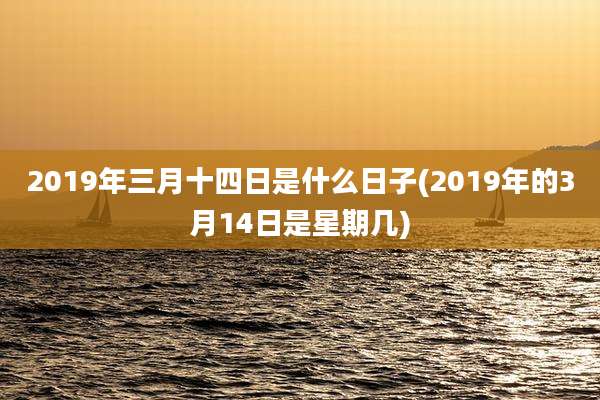 2019年三月十四日是什么日子(2019年的3月14日是星期几)