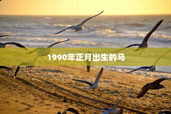 1990年正月出生的马