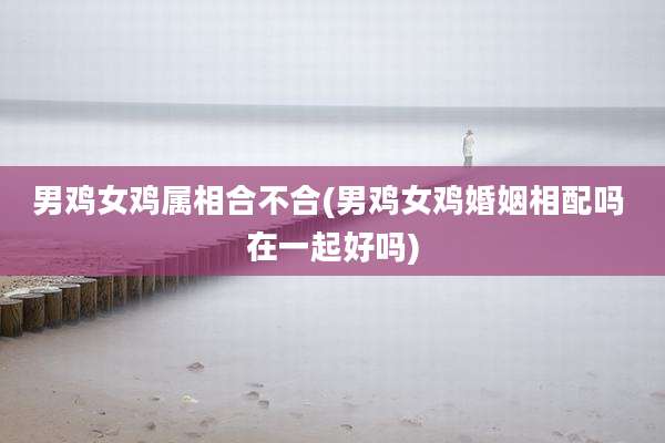 男鸡女鸡属相合不合(男鸡女鸡婚姻相配吗 在一起好吗)