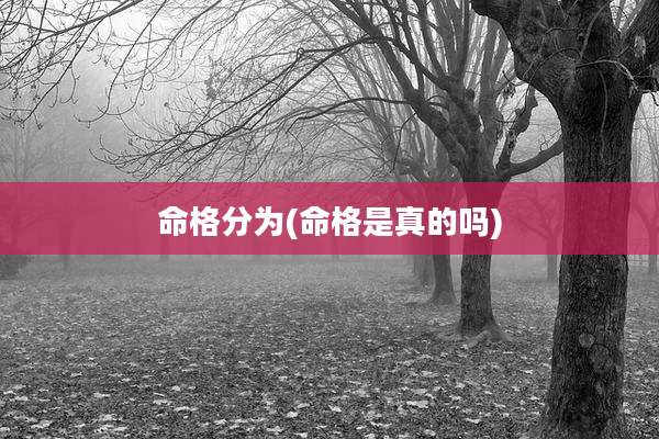 命格分为(命格是真的吗)