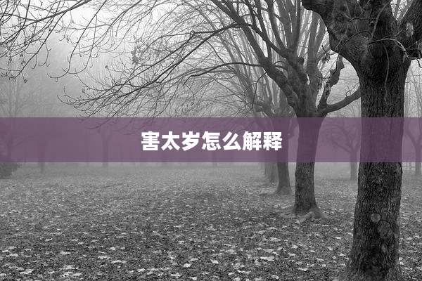 害太岁怎么解释