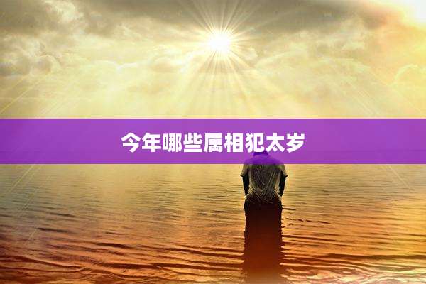 今年哪些属相犯太岁
