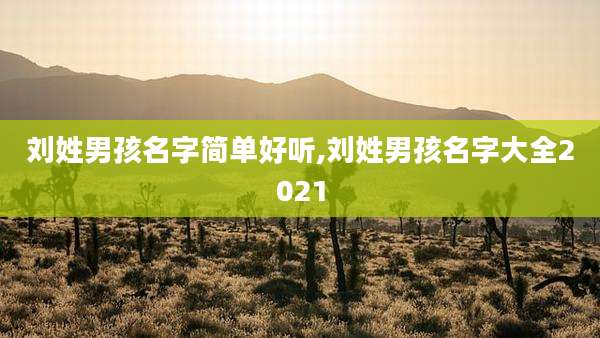 刘姓男孩名字简单好听,刘姓男孩名字大全2021