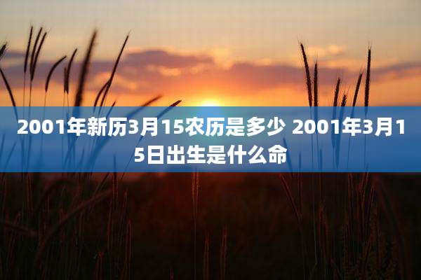 2001年新历3月15农历是多少 2001年3月15日出生是什么命