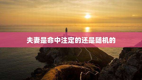 夫妻是命中注定的还是随机的