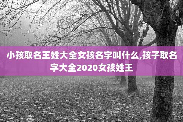 小孩取名王姓大全女孩名字叫什么,孩子取名字大全2020女孩姓王