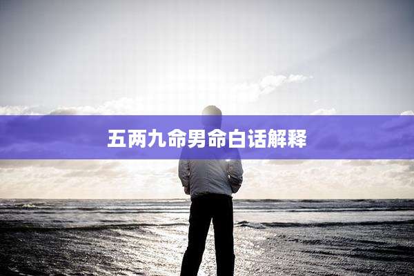 五两九命男命白话解释