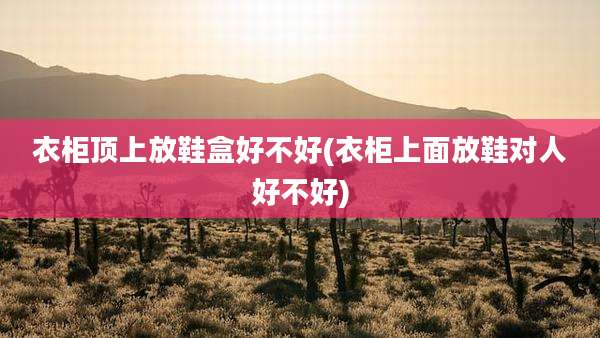 衣柜顶上放鞋盒好不好(衣柜上面放鞋对人好不好)