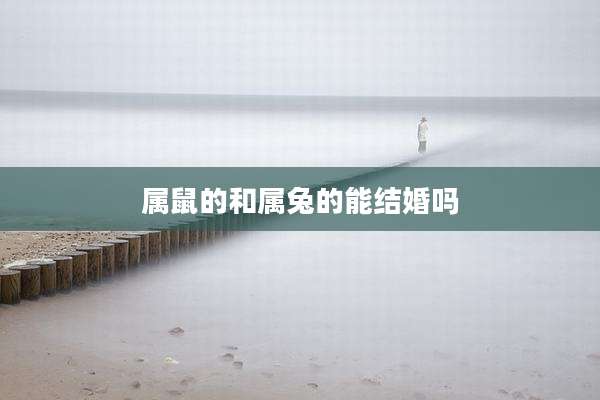 属鼠的和属兔的能结婚吗