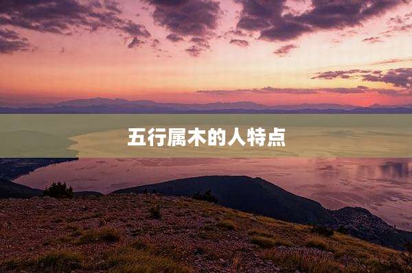 五行属木的人特点