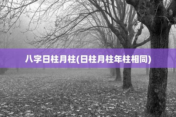 八字日柱月柱(日柱月柱年柱相同)