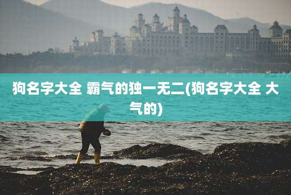 狗名字大全 霸气的独一无二(狗名字大全 大气的)