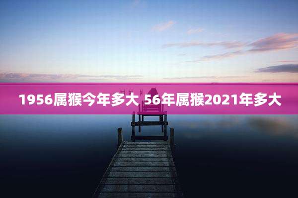1956属猴今年多大 56年属猴2021年多大