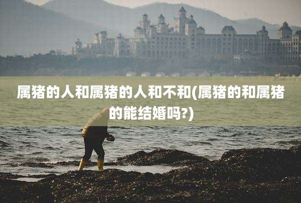 属猪的人和属猪的人和不和(属猪的和属猪的能结婚吗?)