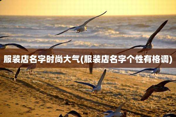 服装店名字时尚大气(服装店名字个性有格调)