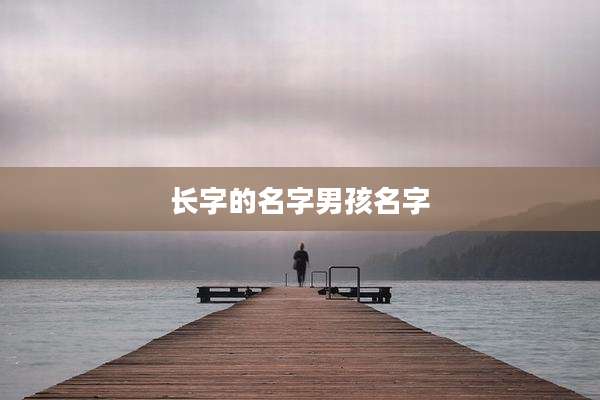 长字的名字男孩名字