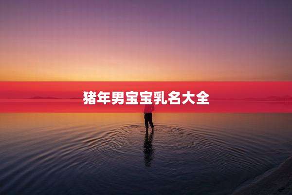 猪年男宝宝乳名大全