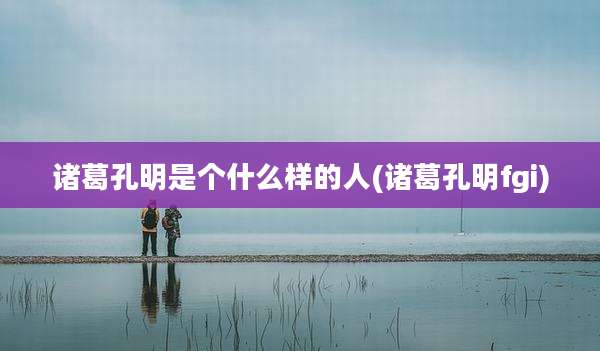 诸葛孔明是个什么样的人(诸葛孔明fgi)