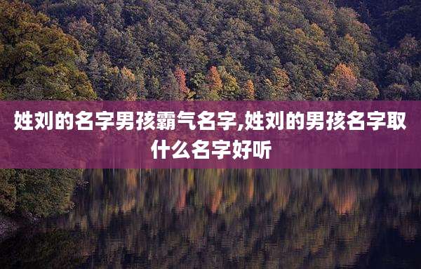 姓刘的名字男孩霸气名字,姓刘的男孩名字取什么名字好听