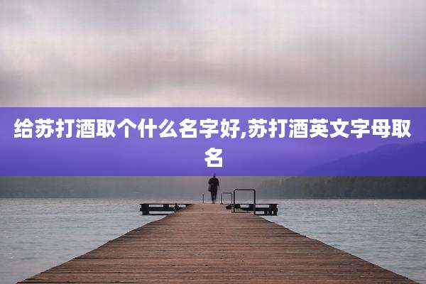 给苏打酒取个什么名字好,苏打酒英文字母取名