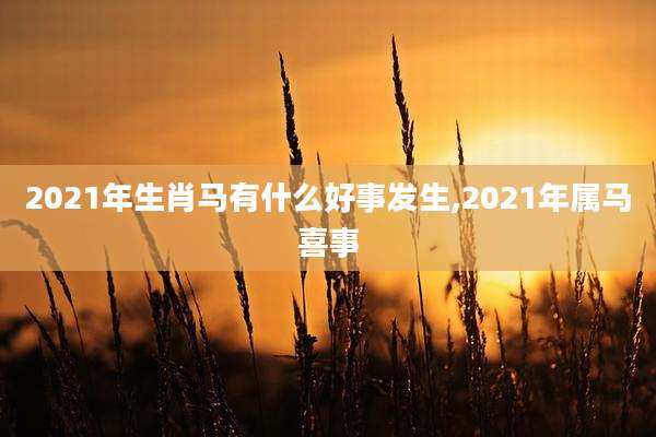 2021年生肖马有什么好事发生,2021年属马喜事