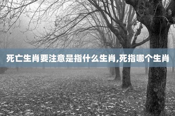 死亡生肖要注意是指什么生肖,死指哪个生肖