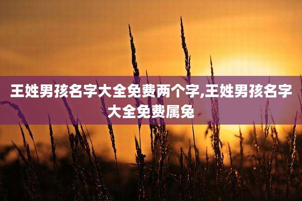 王姓男孩名字大全免费两个字,王姓男孩名字大全免费属兔