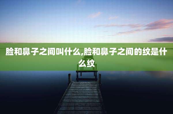脸和鼻子之间叫什么,脸和鼻子之间的纹是什么纹