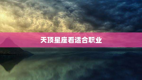 天顶星座看适合职业