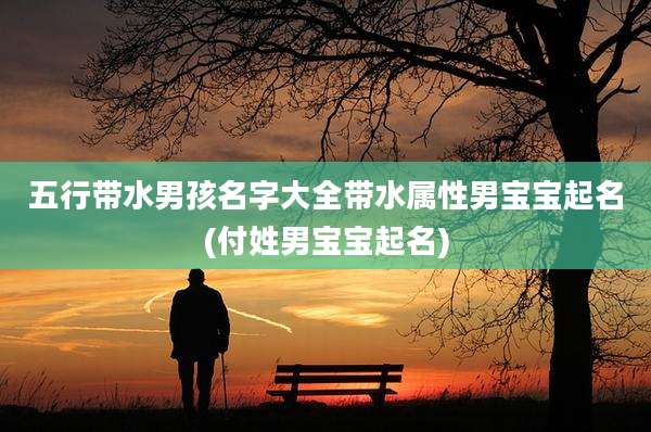 五行带水男孩名字大全带水属性男宝宝起名(付姓男宝宝起名)