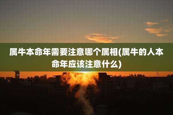 属牛本命年需要注意哪个属相(属牛的人本命年应该注意什么)