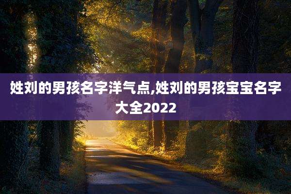 姓刘的男孩名字洋气点,姓刘的男孩宝宝名字大全2022