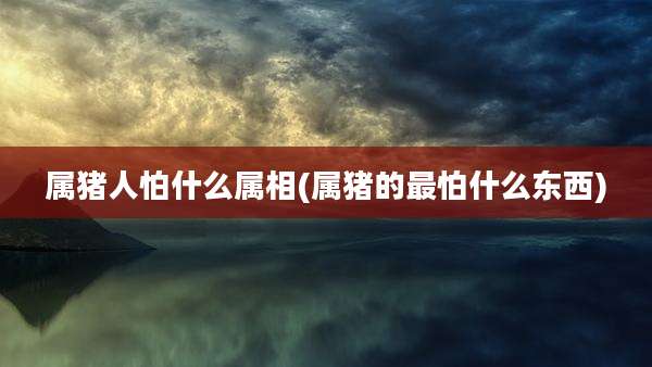 属猪人怕什么属相(属猪的最怕什么东西)