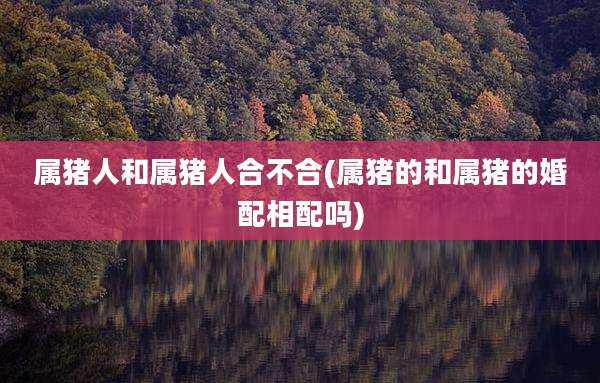 属猪人和属猪人合不合(属猪的和属猪的婚配相配吗)