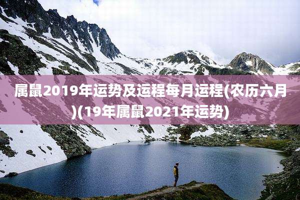 属鼠2019年运势及运程每月运程(农历六月)(19年属鼠2021年运势)