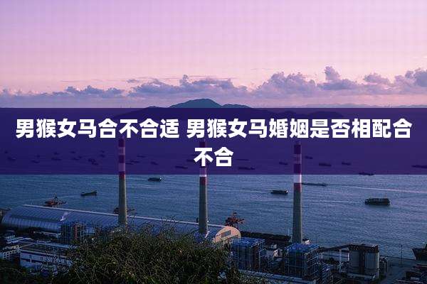 男猴女马合不合适 男猴女马婚姻是否相配合不合