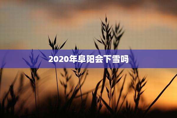 2020年阜阳会下雪吗