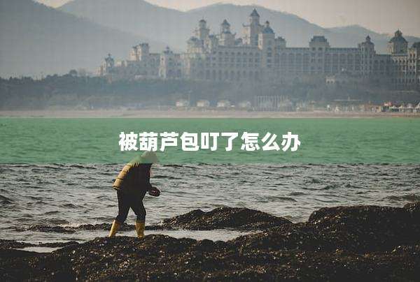 被葫芦包叮了怎么办