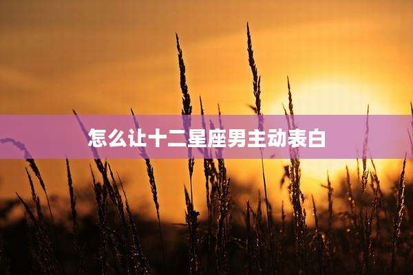 怎么让十二星座男主动表白
