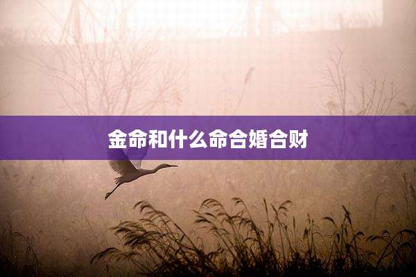 金命和什么命合婚合财