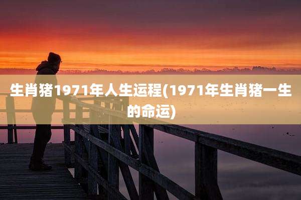 生肖猪1971年人生运程(1971年生肖猪一生的命运)