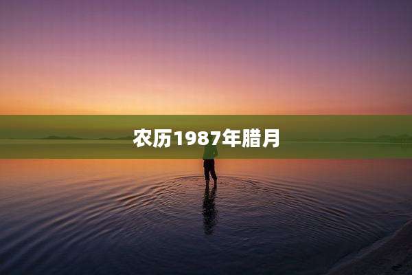 农历1987年腊月