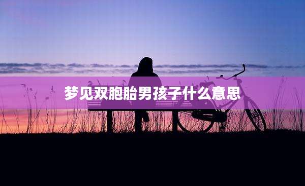 梦见双胞胎男孩子什么意思