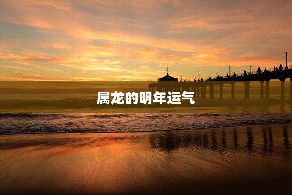 属龙的明年运气