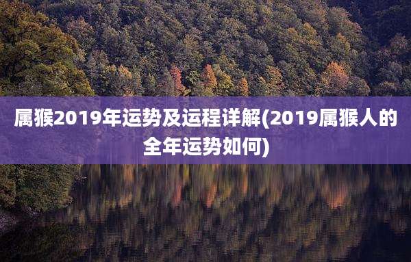 属猴2019年运势及运程详解(2019属猴人的全年运势如何)
