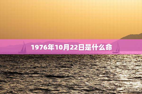 1976年10月22日是什么命